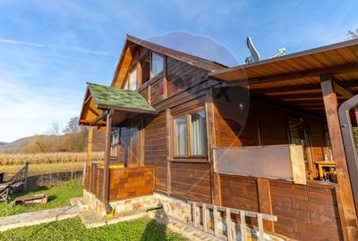 Casa din lemn Ribita,jud Hunedoara - 4