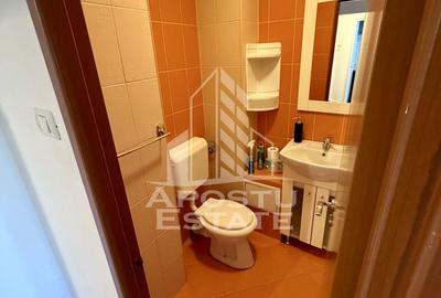 Apartament 3 camere, pet-friendly, de inchiriat, Dambovita, Timisoara - 9