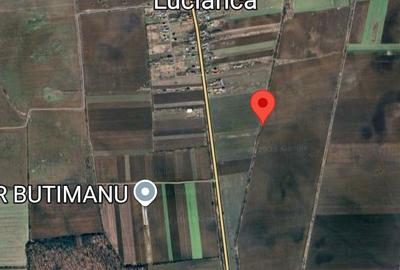 Teren agricol extravilan de 5000 mp, în Lucianca