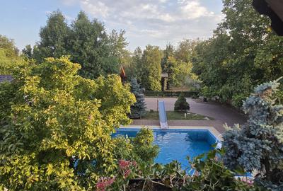 Vânzare Proprietate deosebita cu piscina, Gura Ocnitei Dambovita - 15