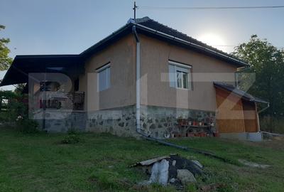 Casă individuală cu 2 camere în Brad