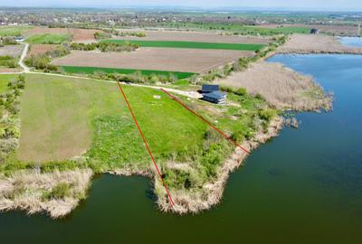 Teren intravilan 4000 mp | Deschidere completa Lac Snagov Toate Utilitatile P+2 - 4