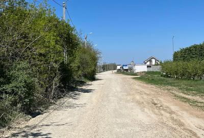 Teren extravilan 4500 MP, cu PUZ, Grigorescu , Oradea. - 5