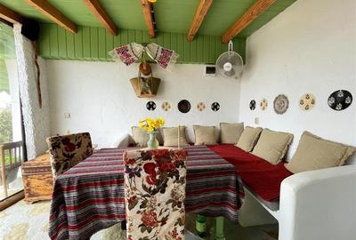 Casa de vanzare in Nufaru - 27