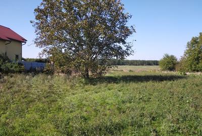TEREN INTRAVILAN 1950 MP MOARA VLASIEI LA LAC - 2