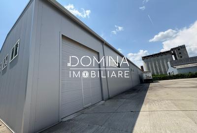 Inchiriere complex industrial multifunctional – pozitie strategica, Targu Jiu - 3