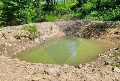 Teren agricol extravilan de 6725 mp, în Hoteni