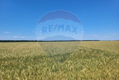 Teren intravilan 30,000mp Corbeanca P+1+E2 - 2