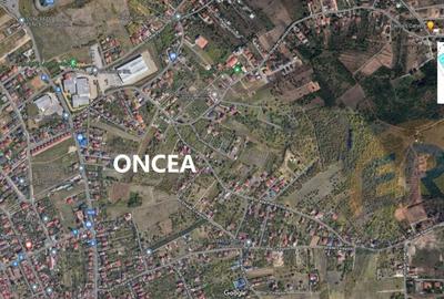 TEREN dublu front Oradea Str.Vantului-Paleu - 1