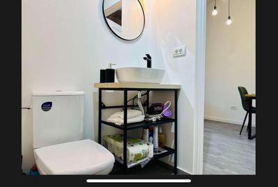 Apartament superb Take Ionescu - 17