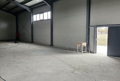 2 hale noi 2025 Magurele ( Constructoriilor ) - 8