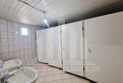 Spatiu industrial | De inchiriat | 1000 mp | 3 m inaltime | Sebes - 9