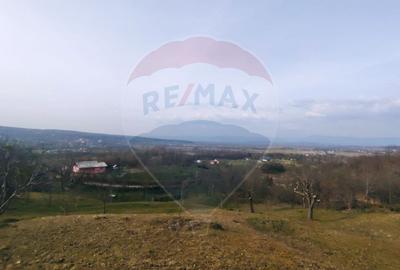 Teren intravilan generos 3.206 mp în Remecioara | Priveliște deosebită - 2
