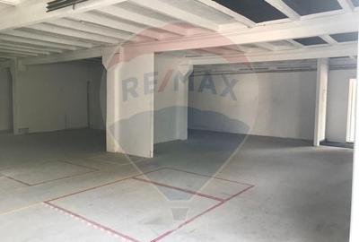 Hală de închiriat 500 mp Calea Bodrogului Arad - 1