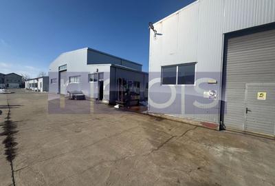 Hală industrială 774 mp cu pod rulant | Crevedia | Acces DN1A | TIR - 10