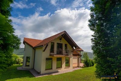 Refined ensemble, elite natural setting, 5 km from Corvin Castle. - 34