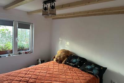 Se vinde casa, plus hala cu panouri solare, teren, zona Branesti-Pasare - 8