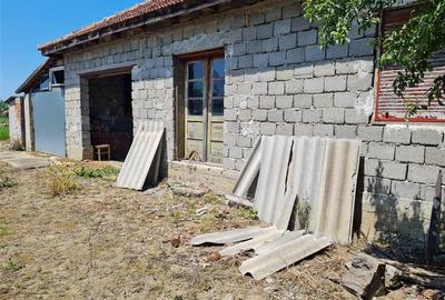 CASA LA ROSU IN SIRIA - 4