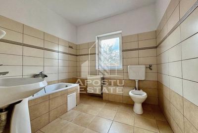 Casa individuală 7 camere de inchiriat , Balcescu-Timisoara - 12