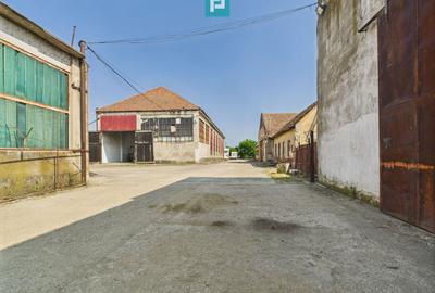 Complex industrial cu hale și teren  în Orțișoara - 12