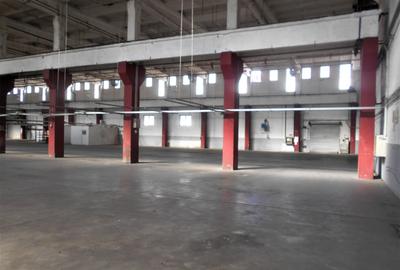 Hala industriala cu pod rulant de inchiriat Lugoj - 6