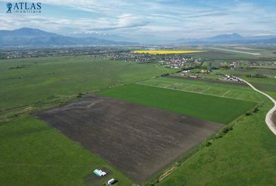 Investitie! 43.100 mp intravilan, 3 loturi, accesibil din str. Barsei, Stupini - 4