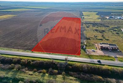 Teren 29220 mp Pecica,DN7, langa autostrada- Ideal pentru afaceri - 1