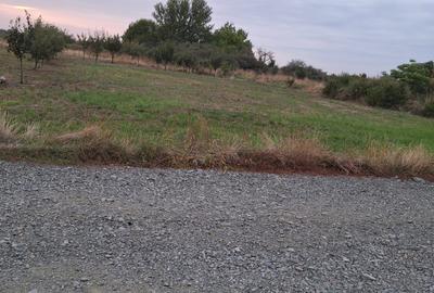 Teren Construcții intravilan de 608 mp, în Dumbrăvița