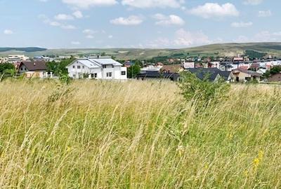 Teren Construcții intravilan de 3880 mp, în Calea Romanului