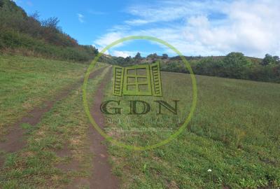 Teren extravilan 700mp in Gusterita. - 1