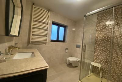 Lovely apartment on 2 levels in a villa in Primaverii - 8