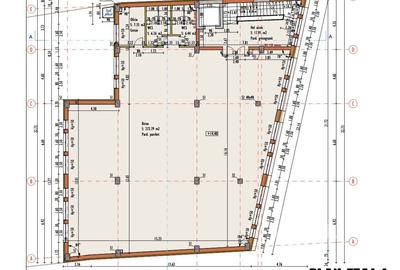 Imobil versatil cu functiuni mixte zona P-ta Mihai Viteazul - 30
