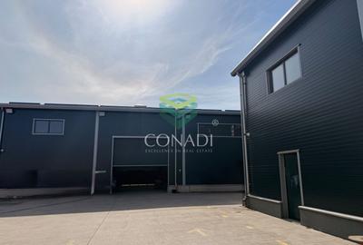Hale premium cu Spatiu de birouri– zona Oxigenului – Cernica - 3