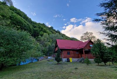 CABANĂ DE VÂNZARE ÎN ROMULI, BISTRIȚA-NĂSĂUD - 4