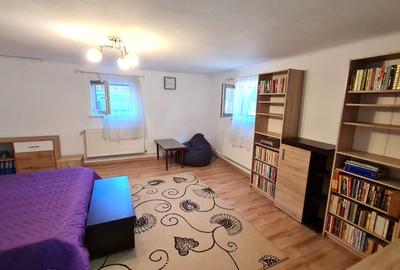 Apartament 2 camere la demisolul unei case,  zona Sub Arini - 7