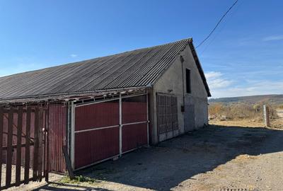 Vanzare teren 5377 mp + hala zona Chilieni Sf. Ghoerghe - 2