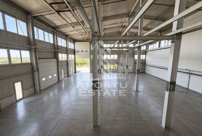 Spațiu industrial, în Torontalului