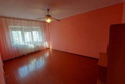 Apartament spatios Nae Leonard - 1