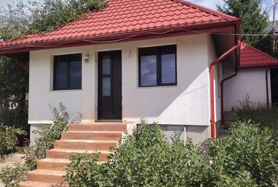Proprietate generoasă, 18 camere, 800 mp utili, teren 1.300 mp – Iași, Bucium - 3