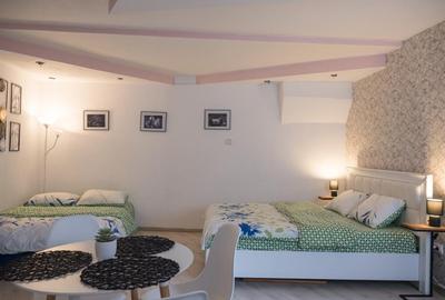Apartament cu o camera zona Centrala - 5