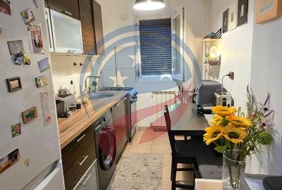 Apartament cu 2 camere semidecomandat, mobilat în Craiovița Nouă