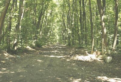 TUNARI, cu acces din Sos. de Centura, 187.000 mp teren - 7