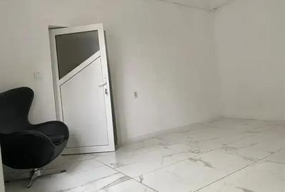FOISORUL DE FOC, IANCULUI, CASA PENTRU BIROURI - 6