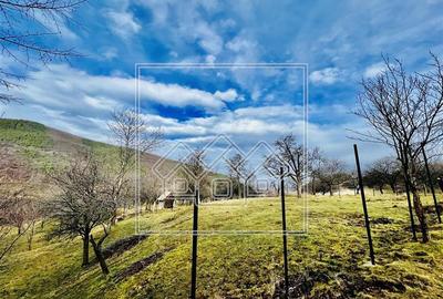 Teren extravilan de 799 mp, în Rășinari