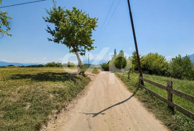 Teren agricol extravilan de 8544 mp, în Poiana Mărului