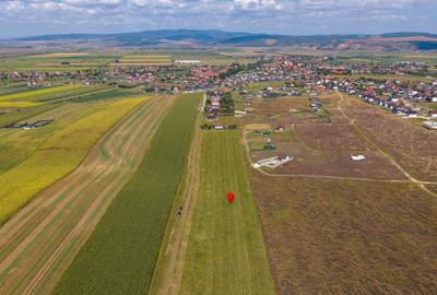 Teren intravilan, 590mp, Bod, lângă Brașov - 10