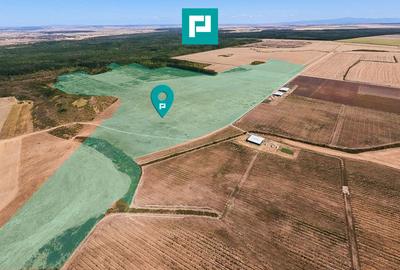 Teren agricol intravilan de 558500 mp, în Chevereșu Mare