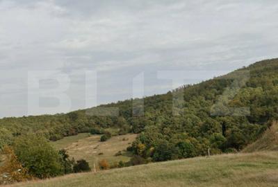 Teren Construcții intravilan de 1500 mp, în Exterior Sud