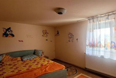 Casa+ hala,cu gradina si livada,Felecheriu,Osorhei,Bihor - 8