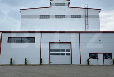 Spațiu industrial, de 2,500.00 mp, în Baciu